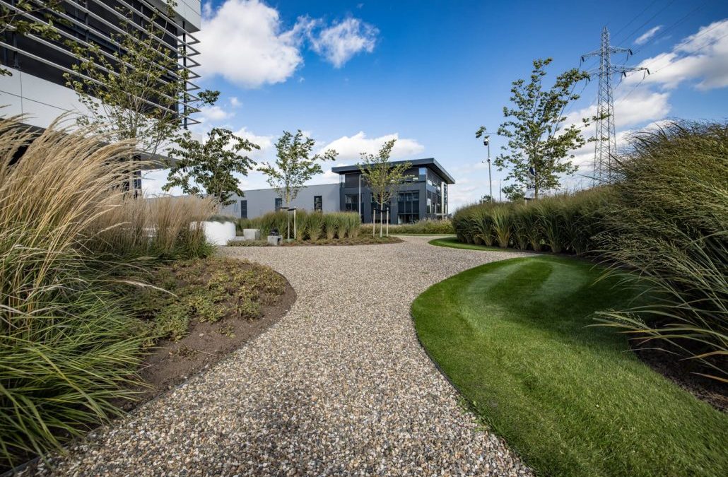 Tuinaanleg bedrijfstuin Almelo